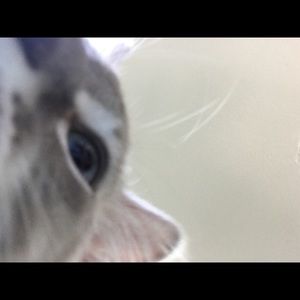 Meet your Posher, Tatyana